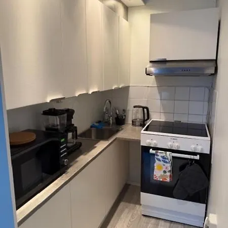 A Cozy In The Heart Of Kallio Huoneisto