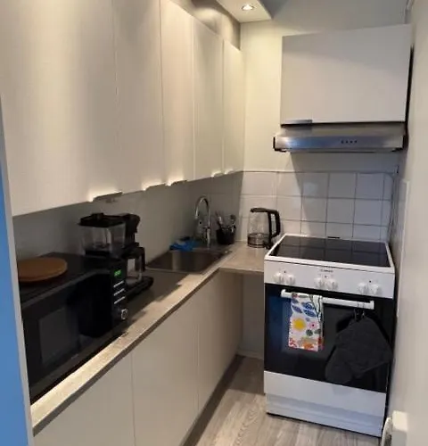 A Cozy In The Heart Of Kallio Διαμέρισμα